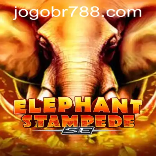 bet788 PH Login Poker Games